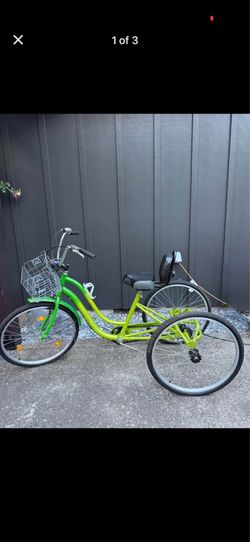 Adult Tricycle