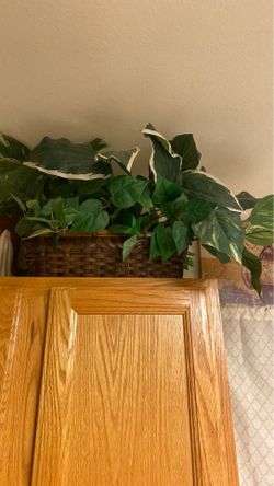 Planta artificial