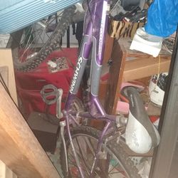 Schwinn Bicycle 