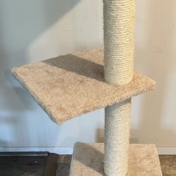 Animal Furniture 