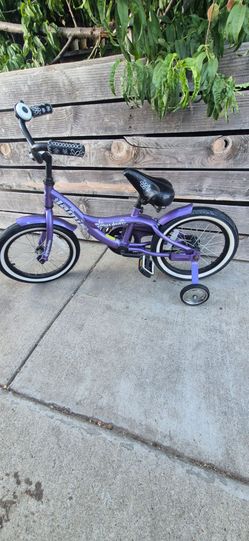 16 Jamis bike
