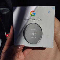 Google nest thermostat