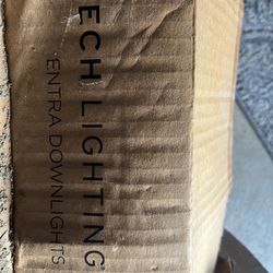 Tech Lightning Entra Downlights