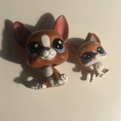 LPS dogs 