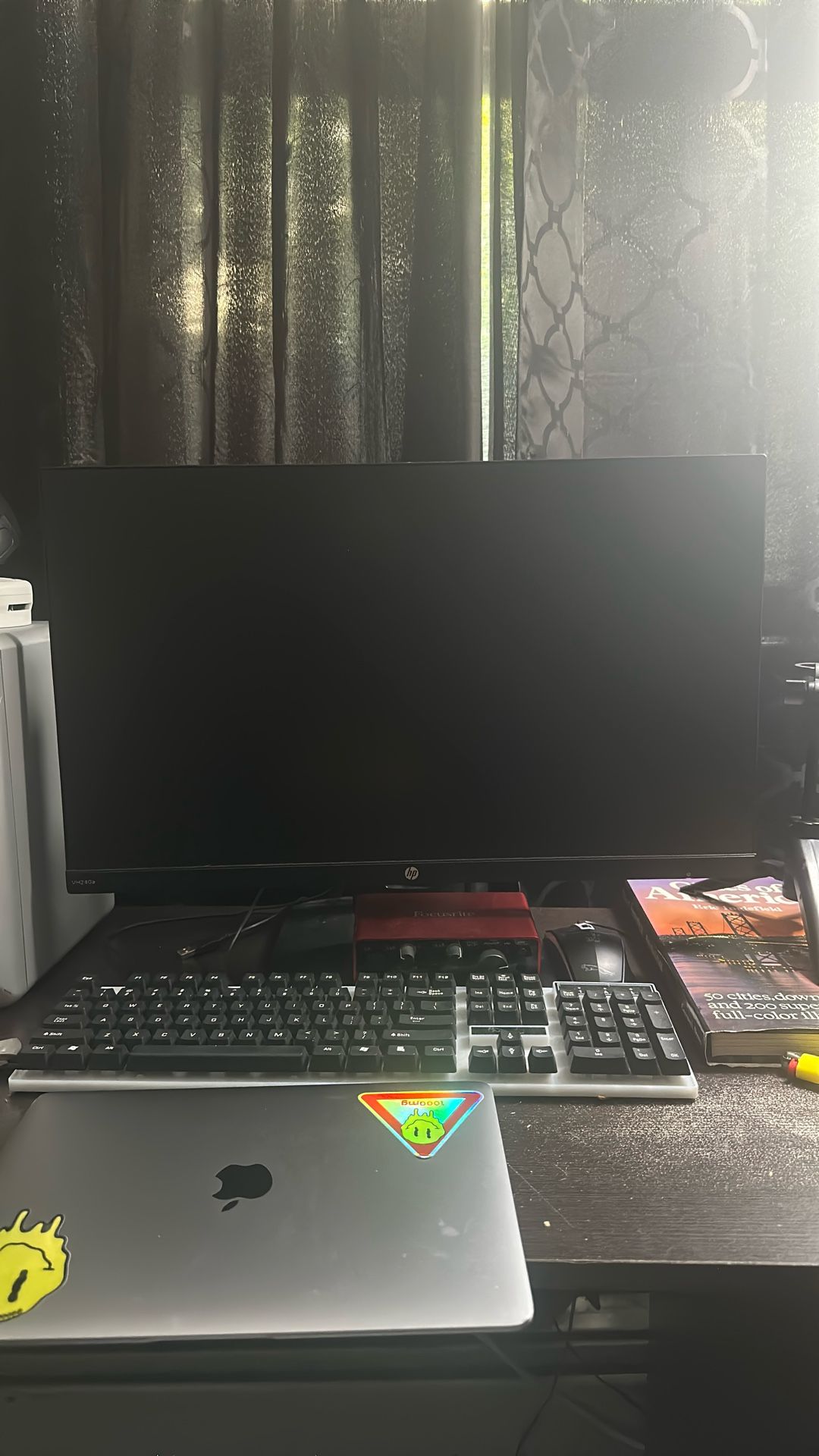 HP monitor 