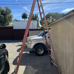 Fiberglass Ladder 