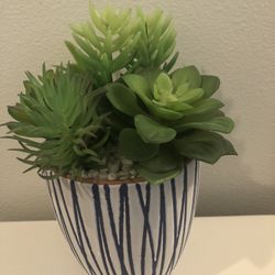 artificial succulent plants