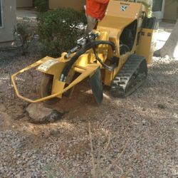 Stump Grind - Stump Grinding 