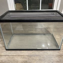 Lizard Tank