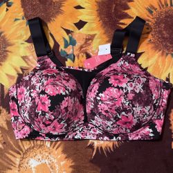 Lane Bryant Livi Sports Bra