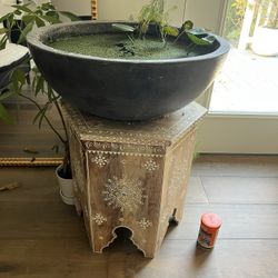 Indoor water pond (plants, pot, table and 1 fish included) $100