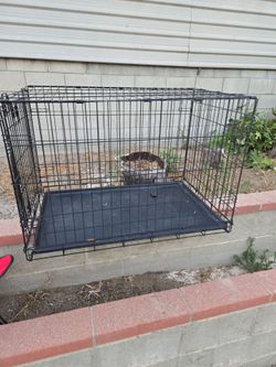 Dog cage