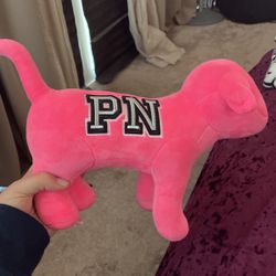 Pink Dog 