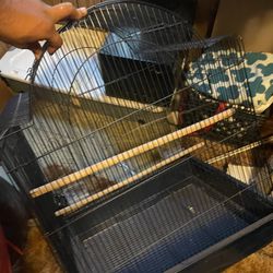 Bird cage