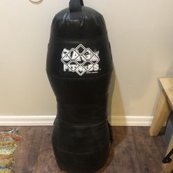 Weight bag for wrestling