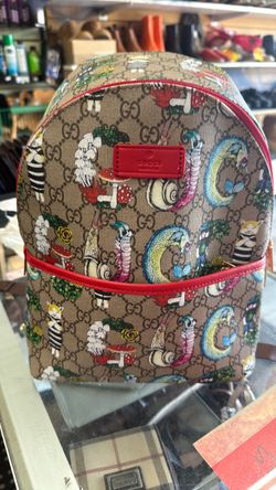Brand new medium Bagpack