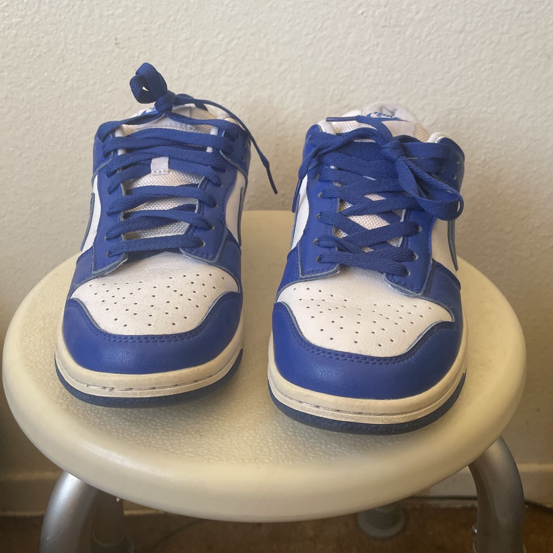 Nike Dunks