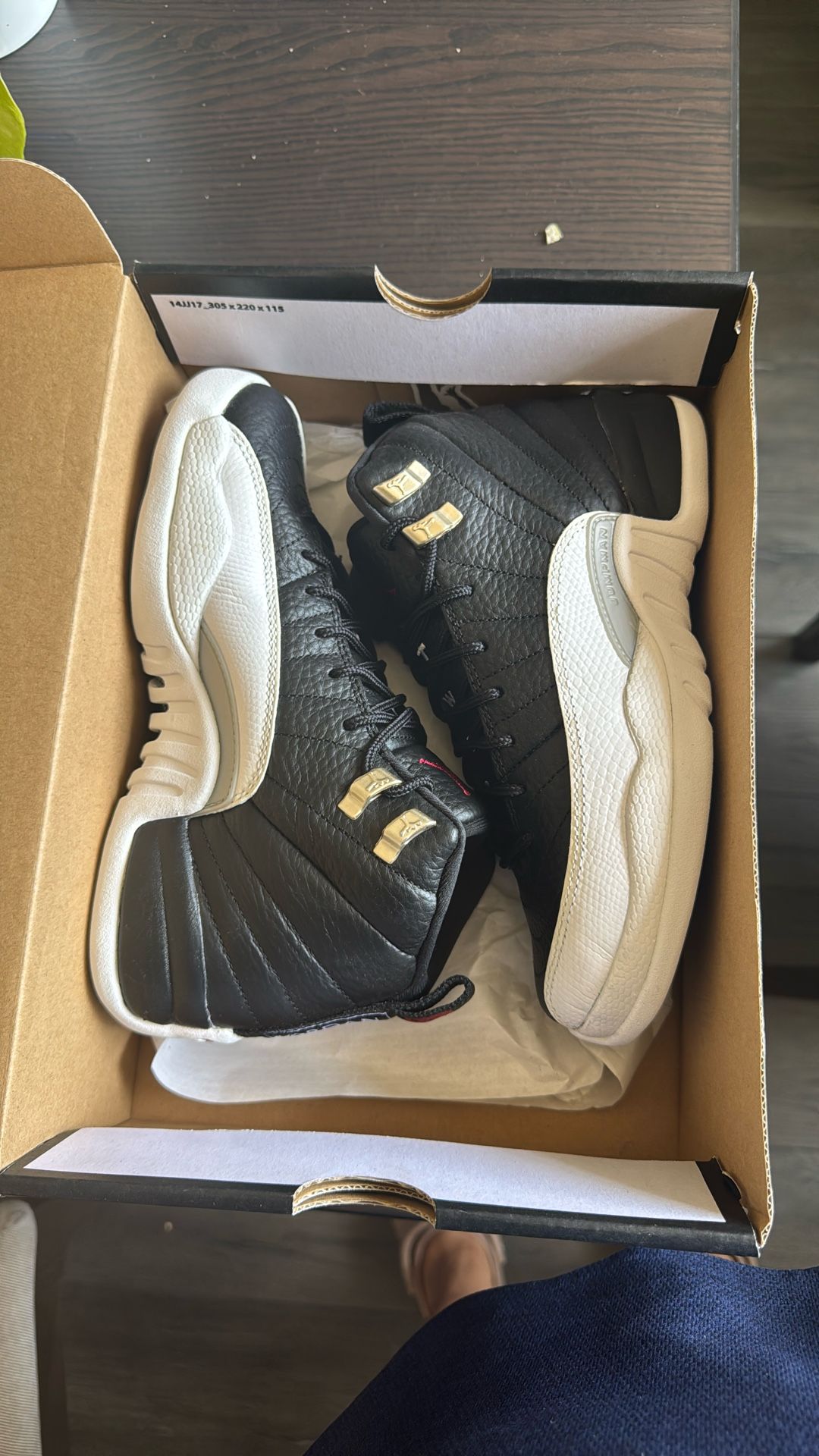 Jordan 12s