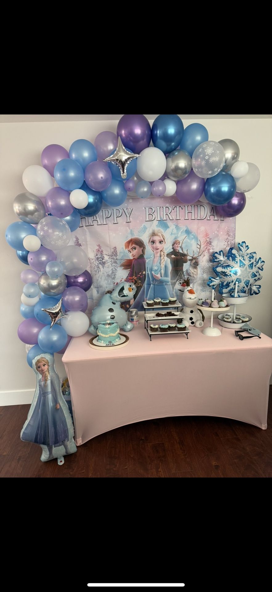 Frozen Backdrop Banner 