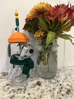 REAL Snoopy Starbucks Cup