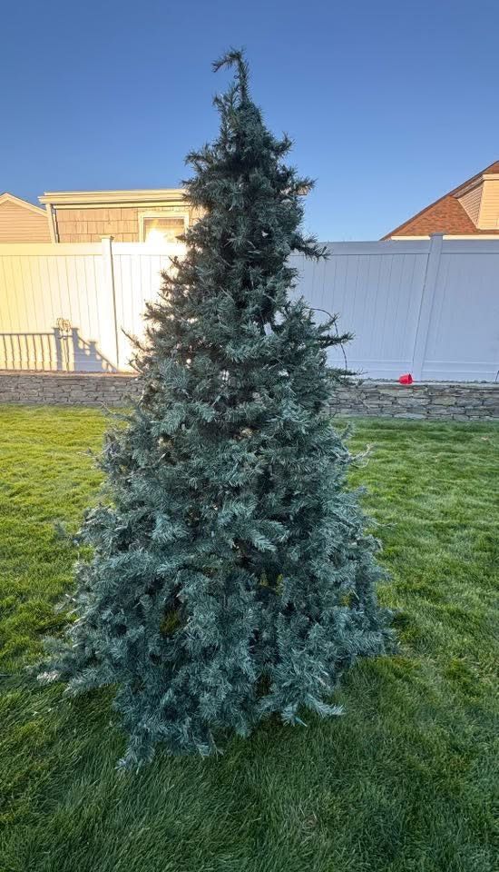 Christmas Tree 7ft 