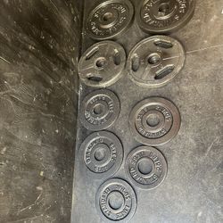 olympic weight plates 