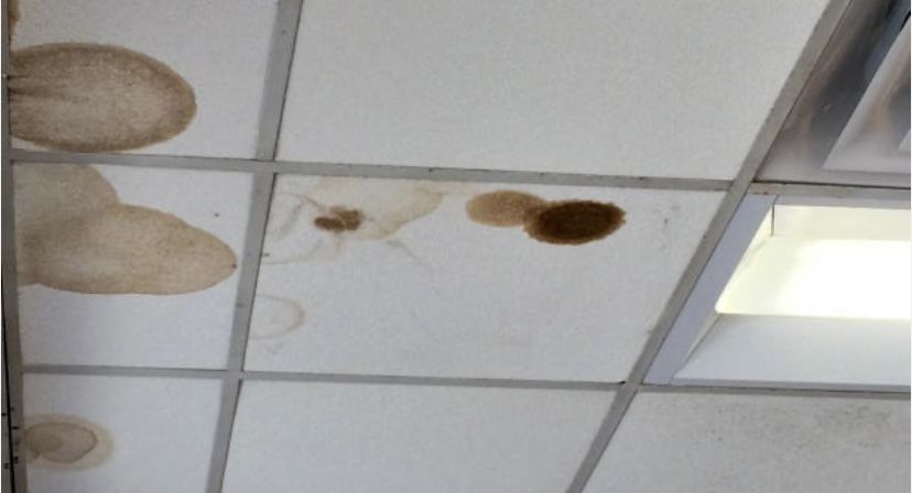 Got A Dirty Looking Ceiling