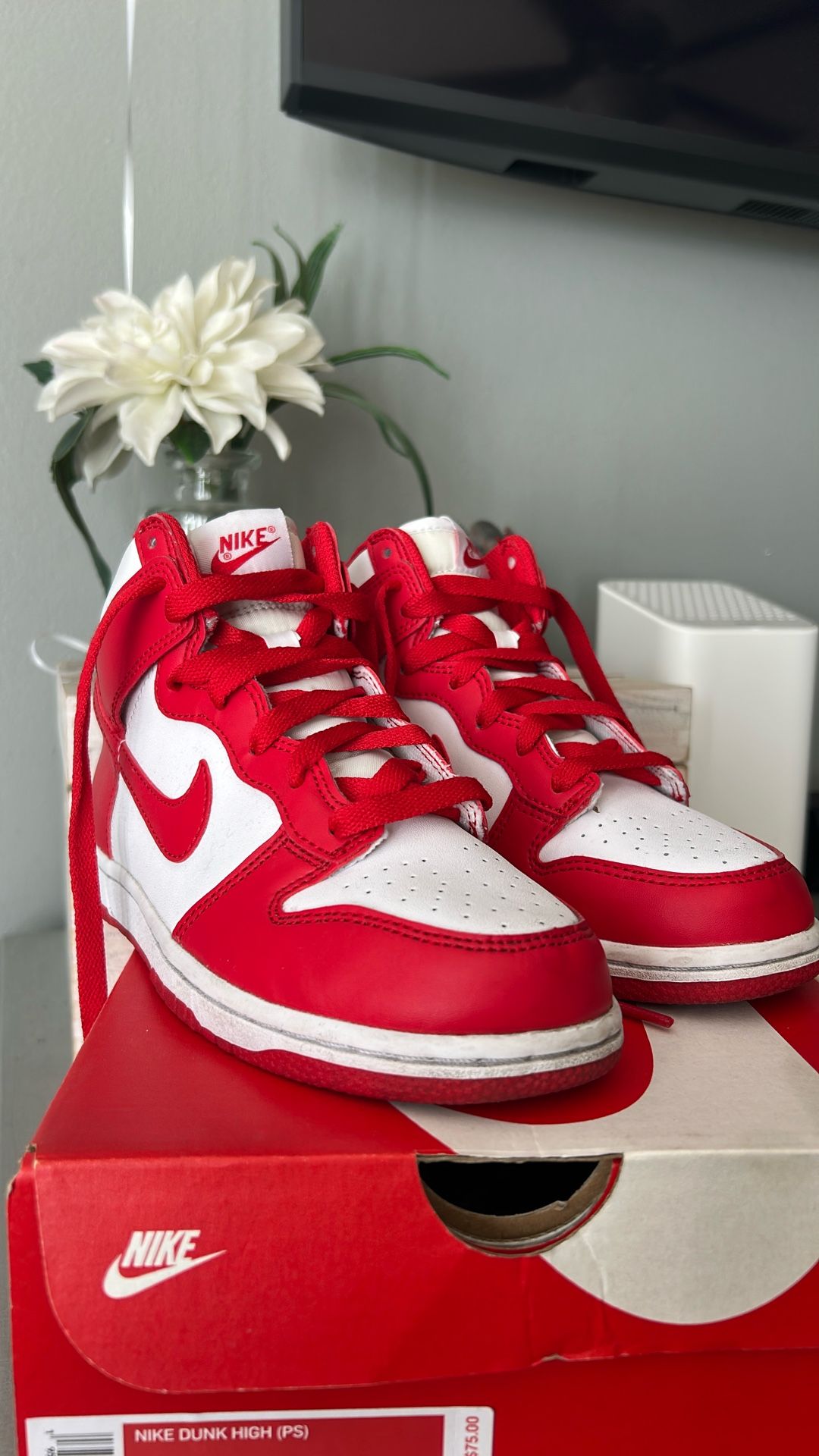 Nike Dunk High - Kids Shoe