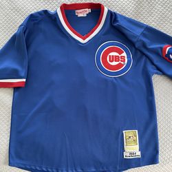Chicago Cubs Ryne Sandberg Cooperstown jersey