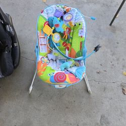 Baby Bouncer 