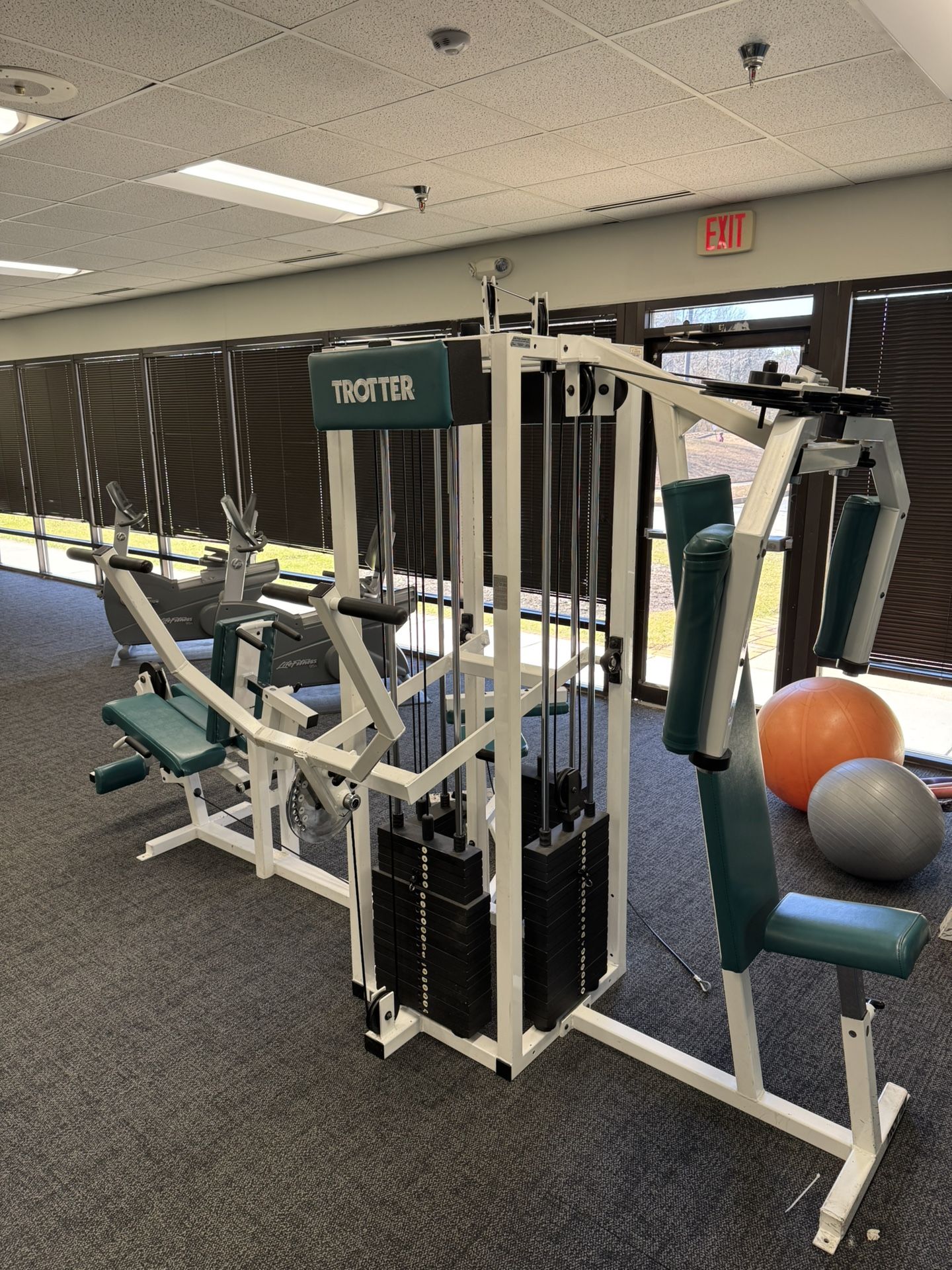 Trotter Multi Station Gym Equipment