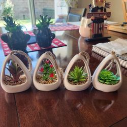 Artificial Succulents 