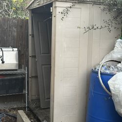 Shed 