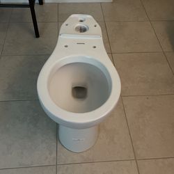 Toilet Bowl