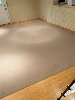 Free area rug