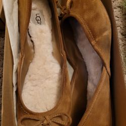 Ugg Ballerina Shoes 