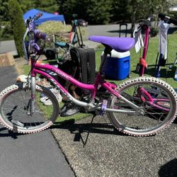 17” Girls Magna Bike 