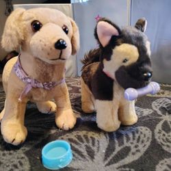 Used American Girl Doll Kailey's Plush 