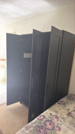 3 doors closet