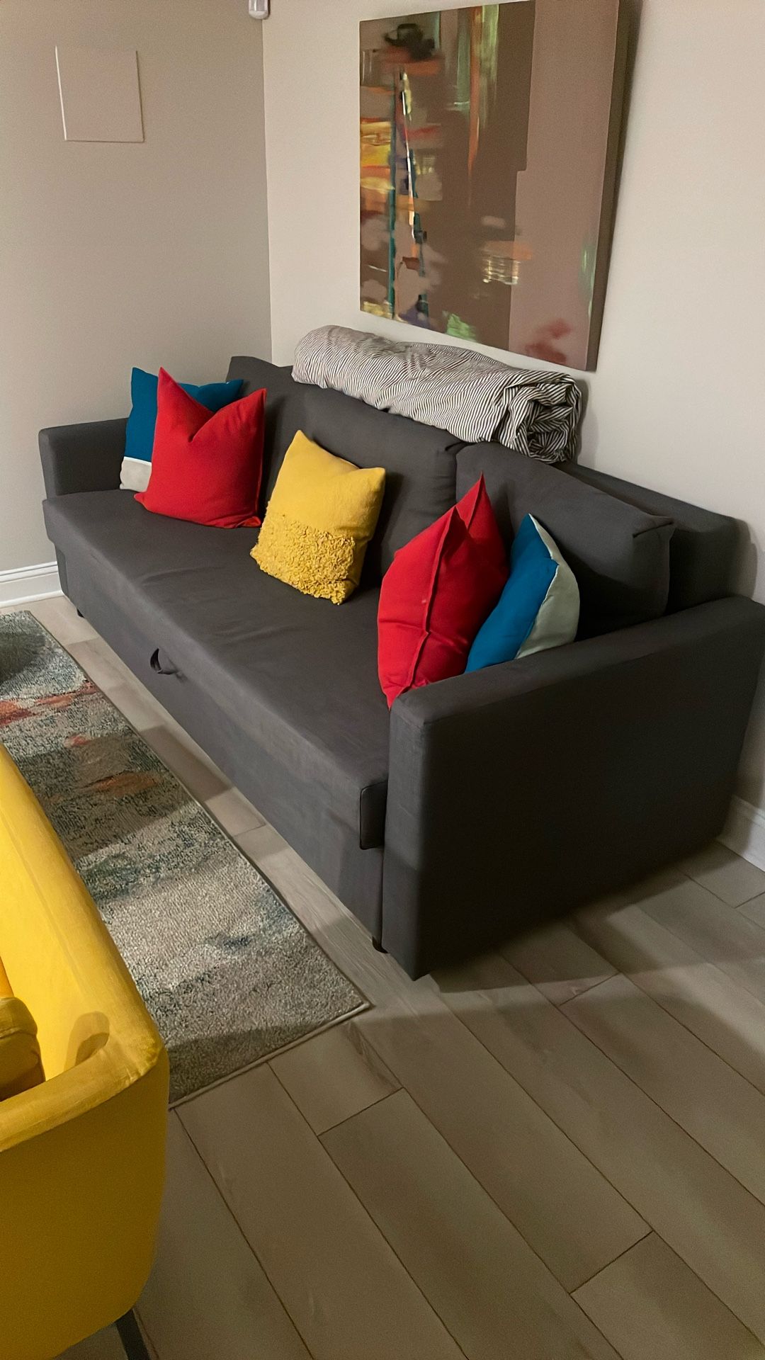 IKEA FRIHETEN Sleeper Sofa