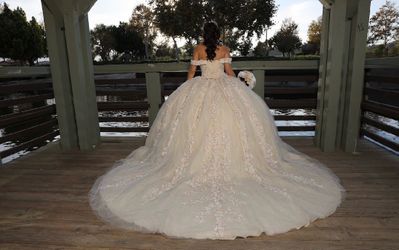 Quince/ Sweet 16 Dress