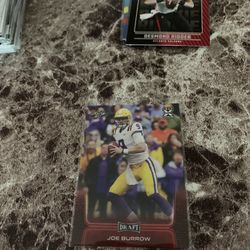 Burrow Rookie