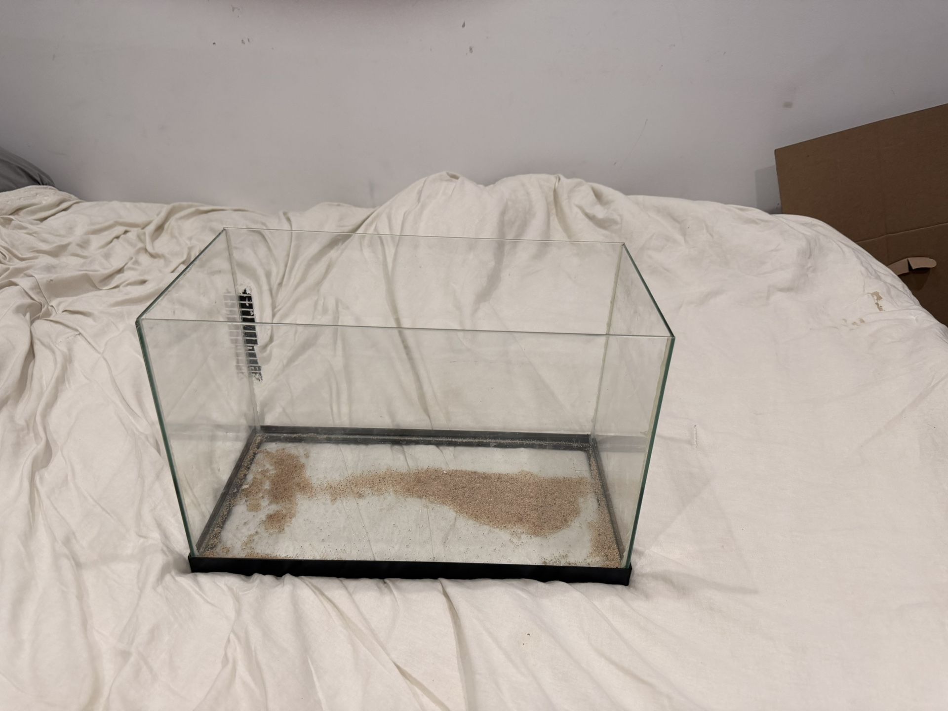 5 Gallon Fish Tanl Neeed Gone ASAP