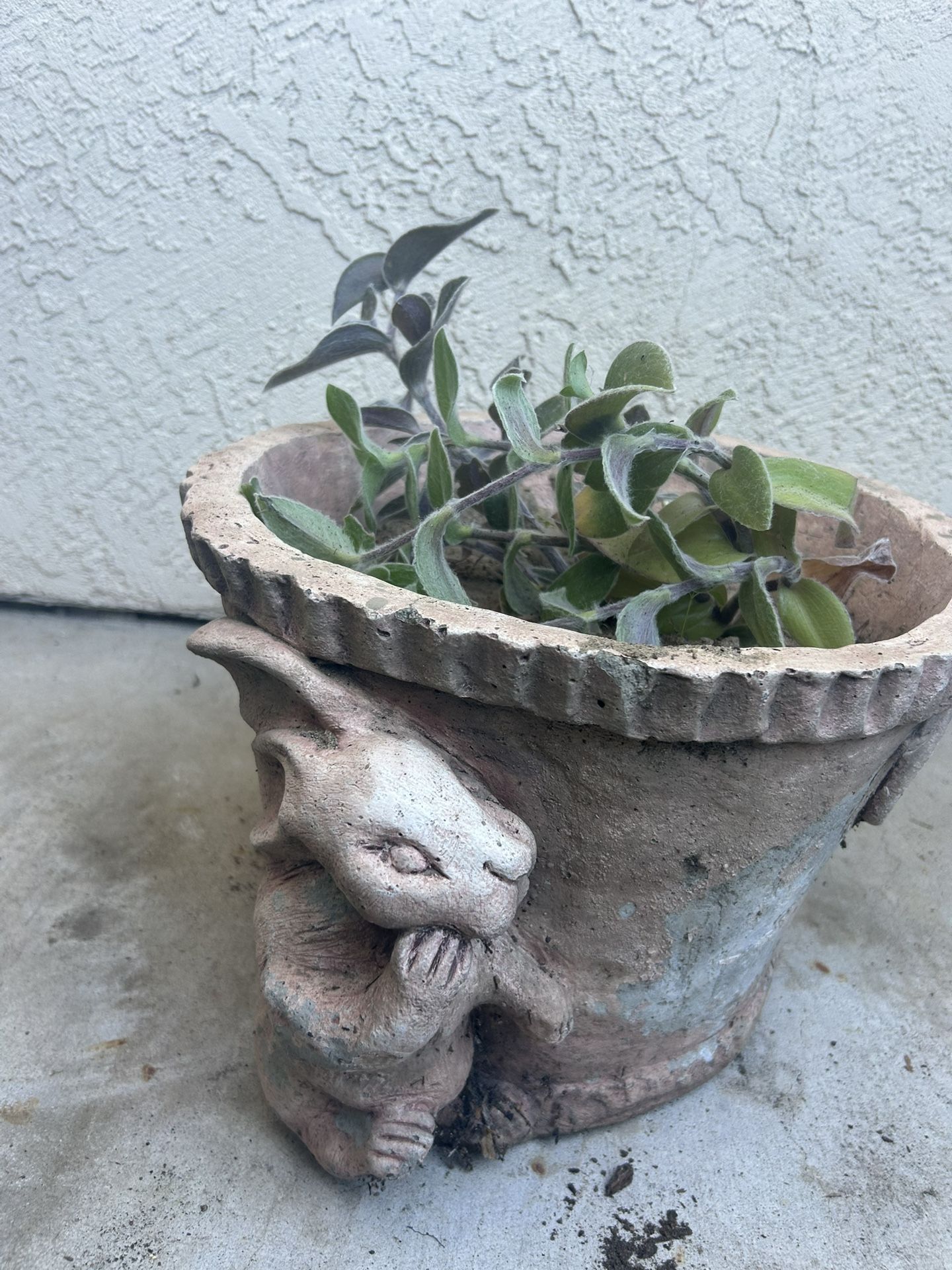 Rabbit Pot