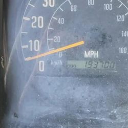 IZUZU NPR INTERCULER 