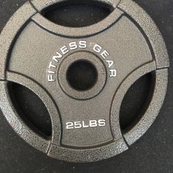 25 Lb Plates