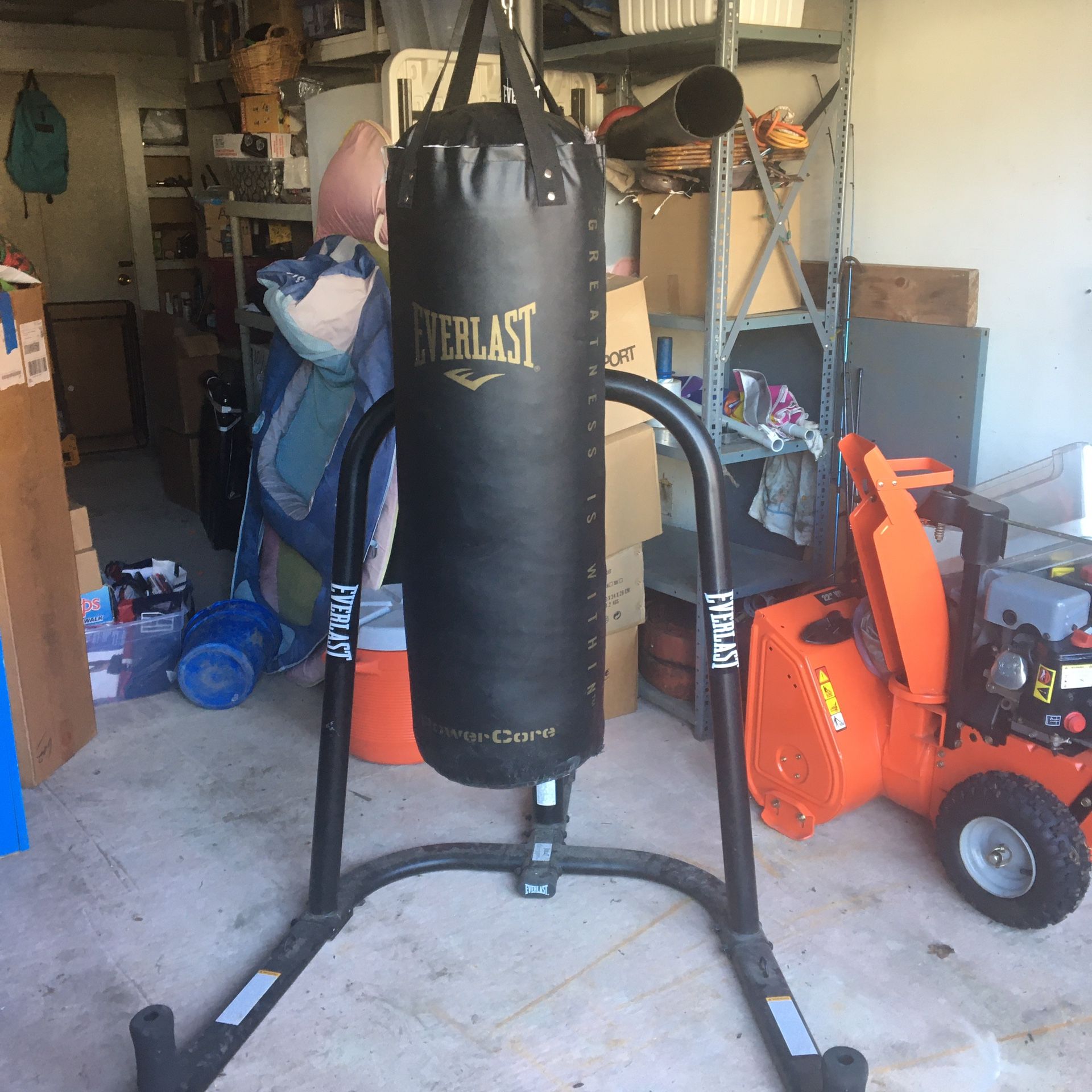 Everlast punching bag