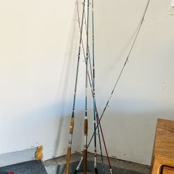 6 Fishing Rods