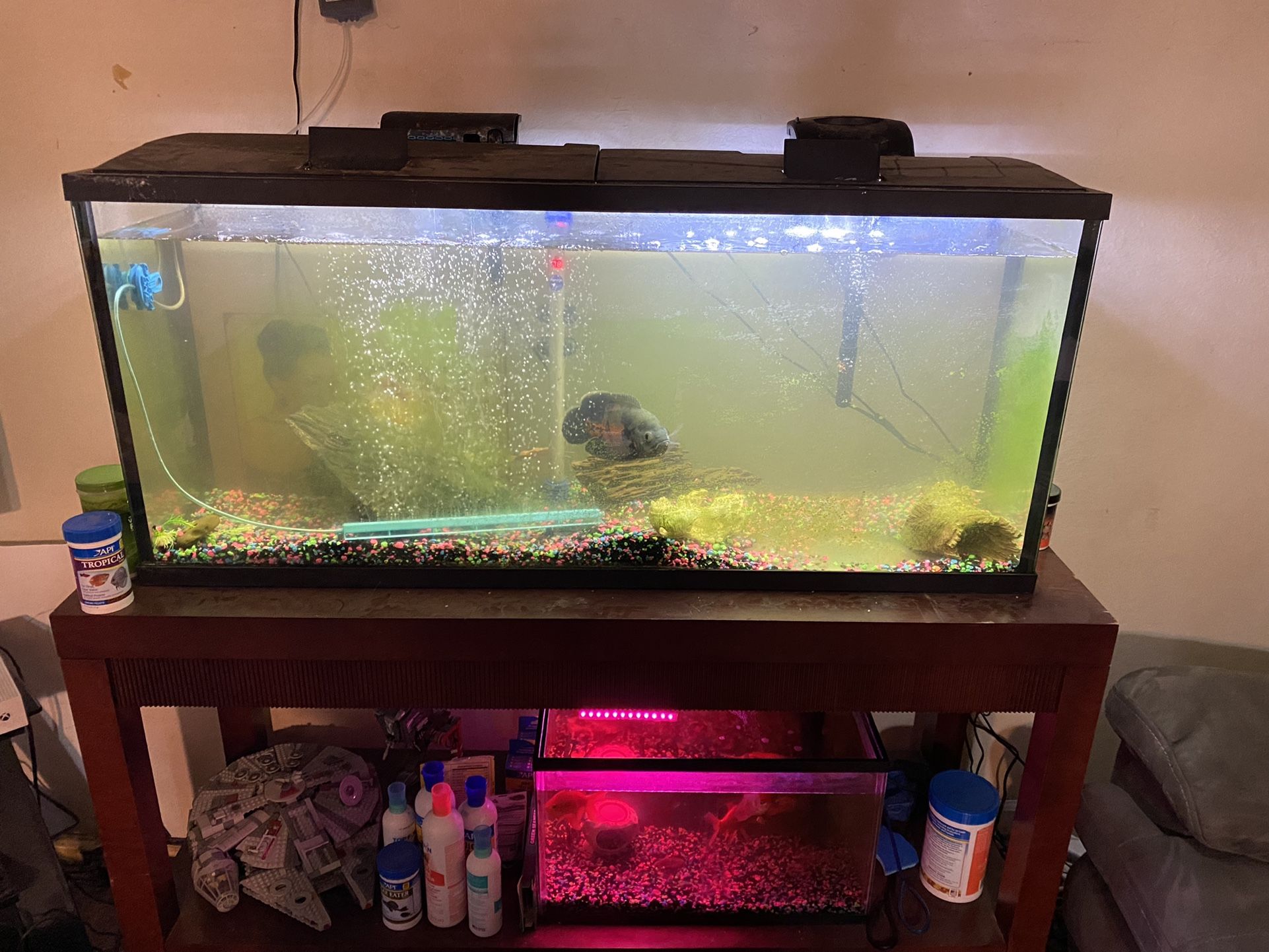 50 Gallon Fish Tank With Stand And All Equipment 