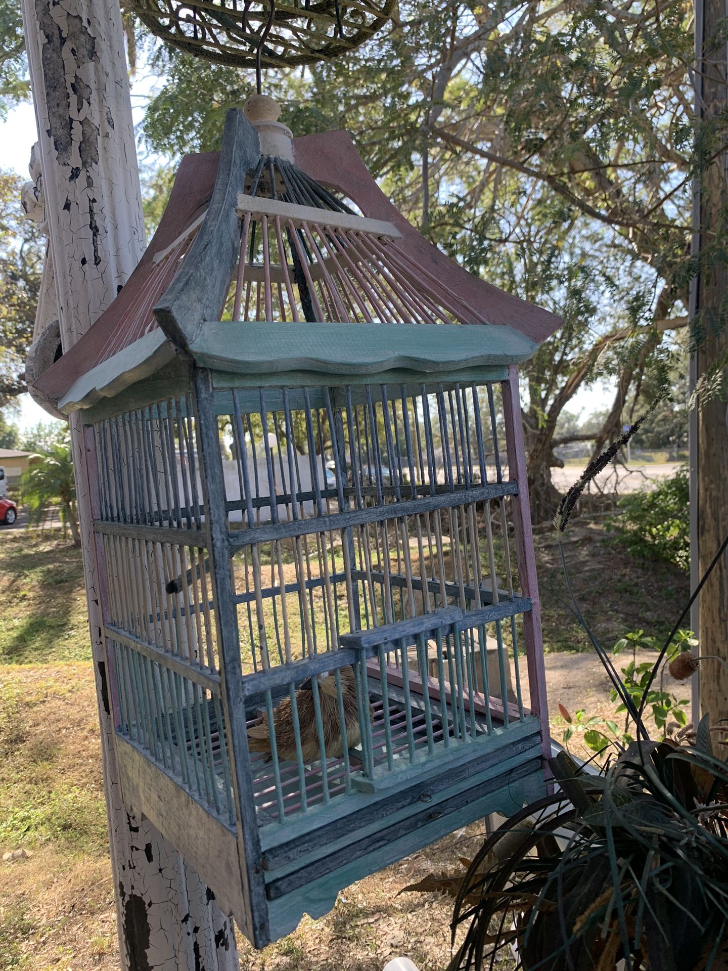 Birdcage